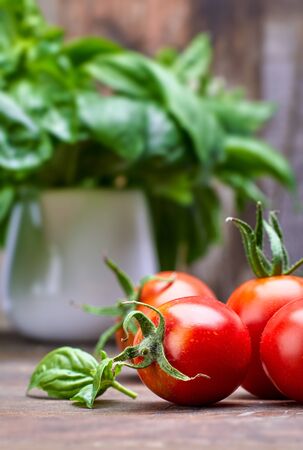 Fresh tomatoes with leaf basil at old wooden board in rustic style. Vegetable still life harvest.の写真素材