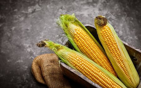 Corn in wooden basket on concrete surface top view. Harvest vegetable. Still life with sack.の写真素材