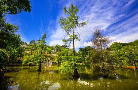 Park of Pleasant Retreat (Buen Retiro Park) in Madrid Spain.の写真素材