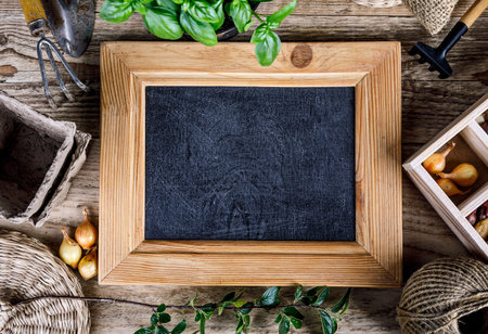 Gardening farming. Still life with garden tools and seedlings basil on wooden table with board for...
