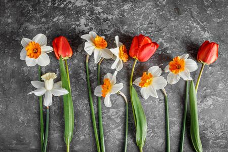Spring bouquet flower daffodils and tulips at gray concrete surface top view. Floriculture gardening.の写真素材