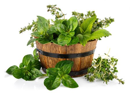 Spicy herbs in wooden basket. Gardening farming. Still life with fresh spice mint oregano and thyme. Isolated on white background.の写真素材
