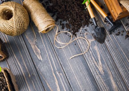 Seedlings tomato in pot with garden tools ground spade and rake on old wooden board.の写真素材