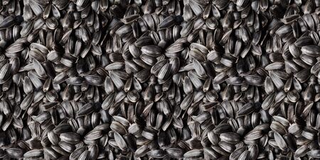 Seamless pattern background. Seeds sunflower. Top view. Healthy eating.の写真素材