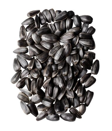 Seeds sunflower. Top view. Healthy eating, isolated on white background.の写真素材