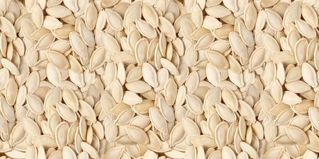 Seamless pattern background. Seeds pumpkin. Healthy eating. Top view.の写真素材