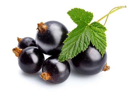 Berries black currant with green leaf. Fresh fruit, isolated on white background.の写真素材