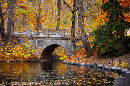 Autumn park with stone bridge over lake. Picturesque landscape in forest. Panorama.
