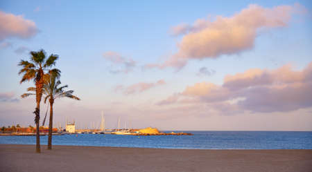 Barcelona, Spain. Barceloneta beach. Colorful evening sunset Sky with clouds. Picturesque panorama landscape with palm trees.の写真素材