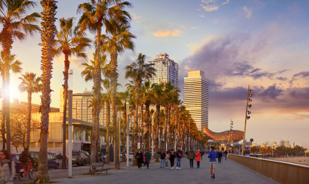 Barcelona, Spain. Road for public transport and alley of palm trees. Sunny summer day. Urban street landscape with bus station.の写真素材
