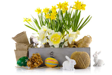 Easter composition with yellow flowers and eggs. Spring lent lily in wooden box and wicker basket with garden tools, isolated white background.の写真素材