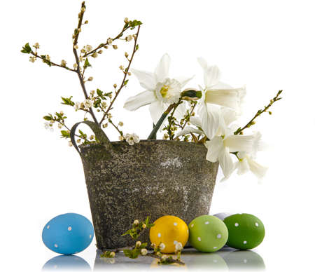 Easter composition with yellow flowers and eggs. Spring lent lily in wooden box and wicker basket with garden tools, isolated white background.の写真素材