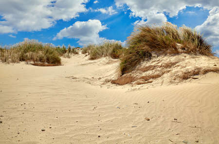 Sandy sand-dune with grass at coast beach of Atlantic ocean in Portugal with blue sky and clouds.の写真素材