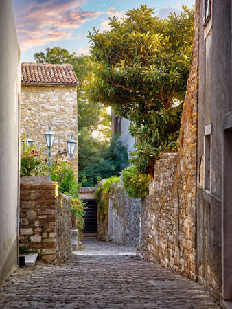 Rovinj Croatia. Vintage stone street with old house street lamp tegular roof and green tree. Picturesque landscape old town in Europe.の写真素材