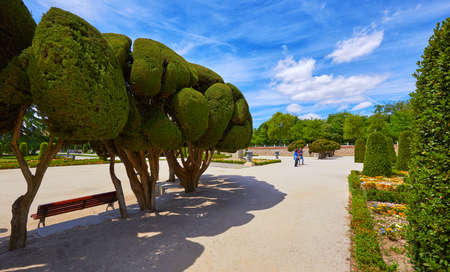 Madrid, Spain. The Buen Retiro Park. Botanical garden, park with trees and bushes, landscape design. Green tree and decorative bush. Blue sky with clouds. Sunny day.の写真素材
