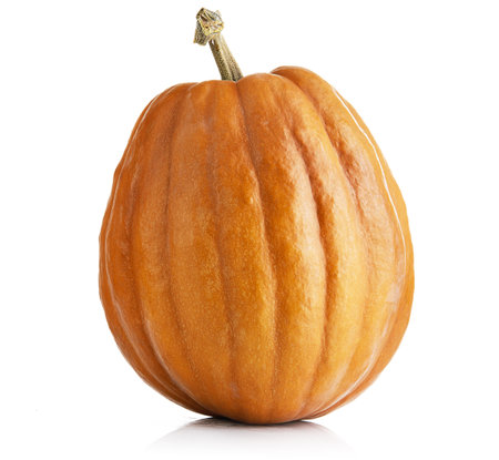 Yellow pumpkin vegetable isolated on white backgroundの写真素材