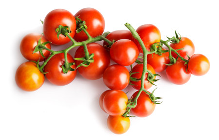 Fresh Tomatoes with green leaves. Tomato vegetables brunch. Vegetable isolated on white background. Organic natural farm grown food harvestの写真素材