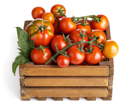 Harvest tomatoes in wooden box with green leaves. Vegetable still-life Isolated on white background.の写真素材