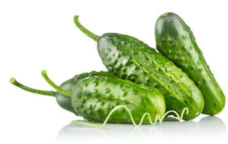 Fresh cucumbers. Green ripe cucumber vegetables. Organic food. Isolated on white backgroundの写真素材