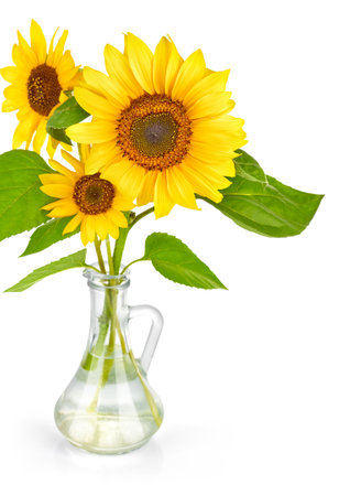 Bouquet of sunflower flower in glass vase. Isolated on white background. Natural flowers.の写真素材