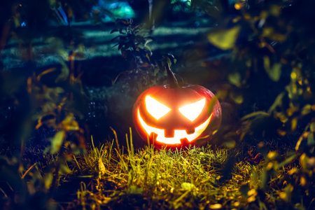 Halloween holiday decoration. Jack-o-lantern glowing Pumpkin head with scary smiling face among autumn fall leaves. Happy scary pumpkin close-up.の写真素材