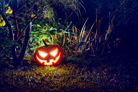 Halloween holiday decoration. Jack-o-lantern glowing Pumpkin head with scary smiling face among autumn fall leaves. Happy scary pumpkin close-up.の写真素材