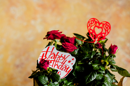 Red roses flowers with red heart on wooden background.birthday card with beautiful red rose.red flowers and message Happy birthday,の写真素材