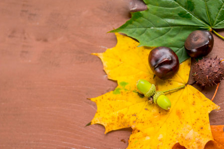 chestnuts, acorns and walnuts on a woodenbackground of autumn leaves. Autumn Still Life with space...