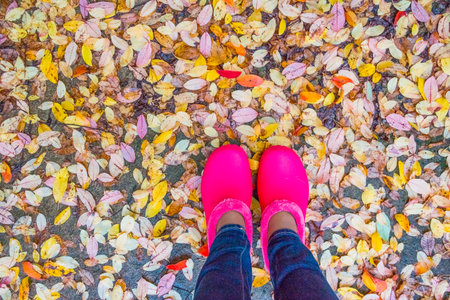 Pink rubber boots with yellow fallen leaves.