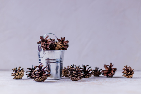 Pine Cones in Galvanized Bucket, Winter still life.Christmas Decoration.Vintage Style. small pine cones in a silver bucket.Copy spaceの写真素材