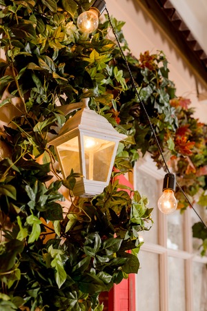 Ivy wrapped window opening of house. wildlife plants home window climb. Retro lantern in an arch of wild grapes, building with sprawling liana.climbing plant on window outside.wall of leaves. Classical lanternの写真素材