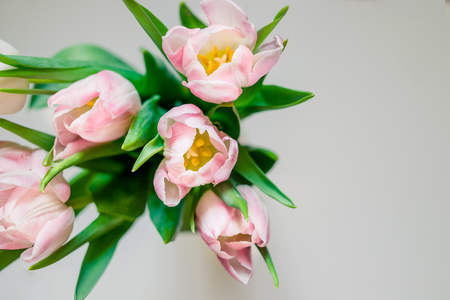 Bouquet of flowers. Pink tulips on white background with copy space for greeting message. Valentines Day and Mothers Day background. Holiday mock up with tulip flowers. Spring flowers for holiday.の写真素材