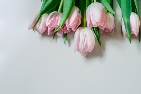 Bouquet of flowers. Pink tulips on white background with copy space for greeting message. Valentines Day and Mothers Day background. Holiday mock up with tulip flowers. Spring flowers for holiday.の写真素材