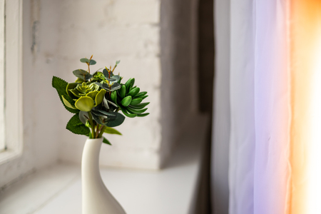 Vintage home decor: houseplants, green succulents, white ceramic vase standing near big window, cozy home interior.Business or education template. Decorative indoor plant. Copy spaceの写真素材