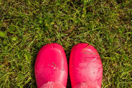 Looking down orange color shoes rubber on grass.の写真素材