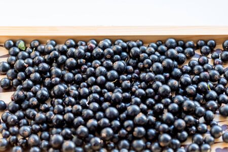 Heap of black currant. Textured background.Summer healthy food. Juicy natural fruit. vitamins and berries.Copy spaceの写真素材