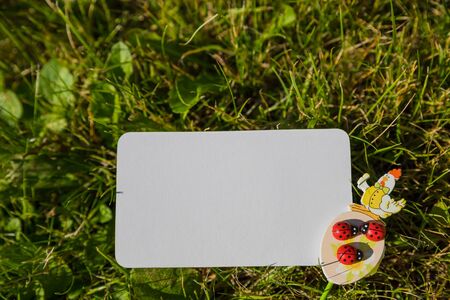 Mockup white greeting card and easter eggs on green grass background.Easter holiday concept with copy space.Easter background with traditional symbols like spring hare and eggs symbolising egg hunt.の写真素材