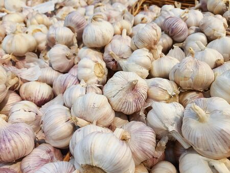 close up of garlic background.Fresh garlic on market table closeup photo.の写真素材