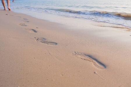 Sea urchin shells with the calves of someone walking on the beach in the backgroundの写真素材