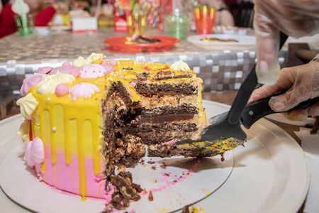 birthday party cakes for girls.cutting the cakeの写真素材