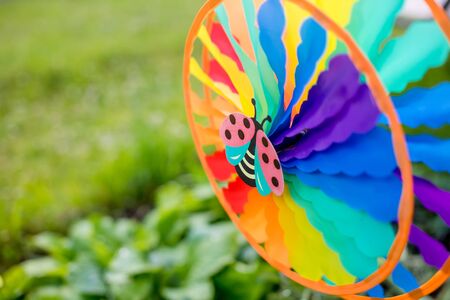Colourful rainbow pinwheel in the garden.garden decor element pinwheel red ladybug on lawn backgroundの写真素材