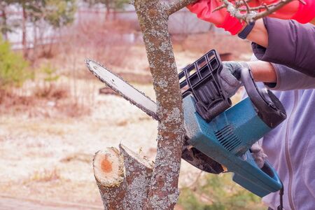 Detail of a wood sawing with chainsaw in the garden villageの写真素材