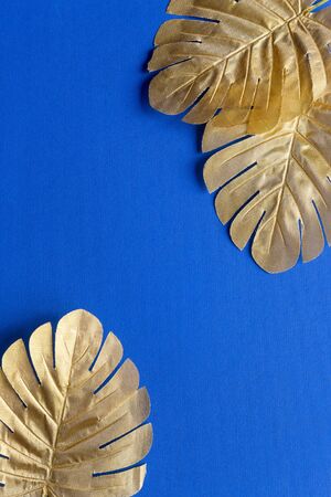 Gold tropical palm leaves Monstera on white background. Flat lay, top view minimal concept.の写真素材