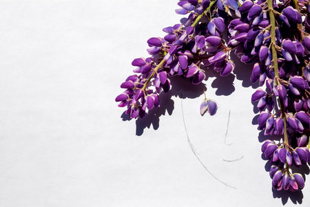 Beautiful woman face with flowers instead of hair, isolated on white background. Abstract floral...