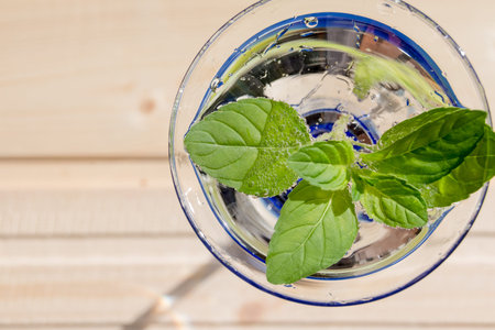 Mint julep in glass .Cold soft drink with mint.lemonade drink in a glass. Fresh natural organic...