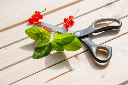 fresh Mint leaves and summer berries on white wooden background, top view, place for text.Bright...