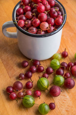 Close up of green fresh gooseberries in white cup, healthy homegrown berry Organich ripe gooseberry over rustic wooden background. Sweet and juicy berry.の写真素材