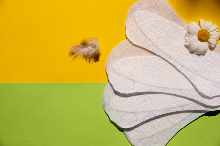 Panty liner with feather, chamomile flowers on bright background. Menstruation and women everyday...