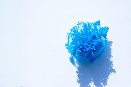 blue chemical crystals forming. needle like Urea crystals ,carbamide, forming by evaporation of...