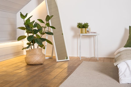 Home plant ficus in straw bag. Minimal modern interior design. Stylish green plant in Wicker pot...